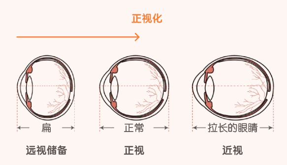 微信圖片_20230901105032_2.png 微信圖片_20230901105032_2.png