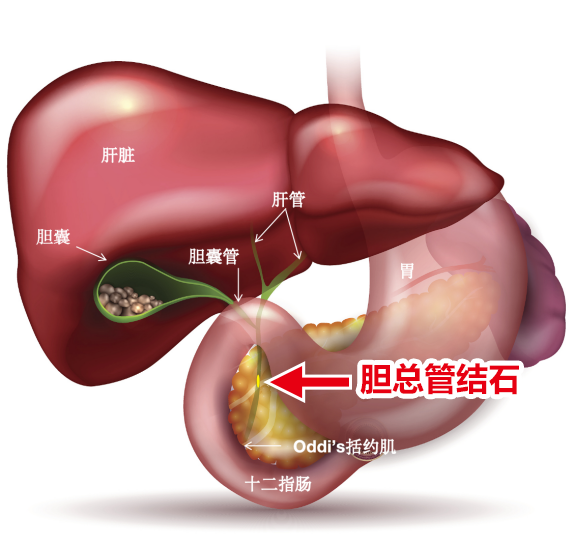 微信圖片_20240805082236.png 微信圖片_20240805082236.png